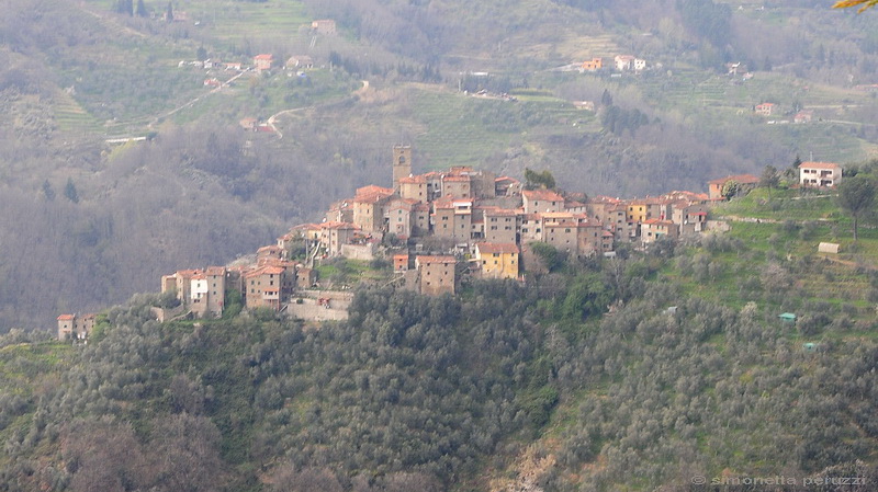 Svizzera pesciatina